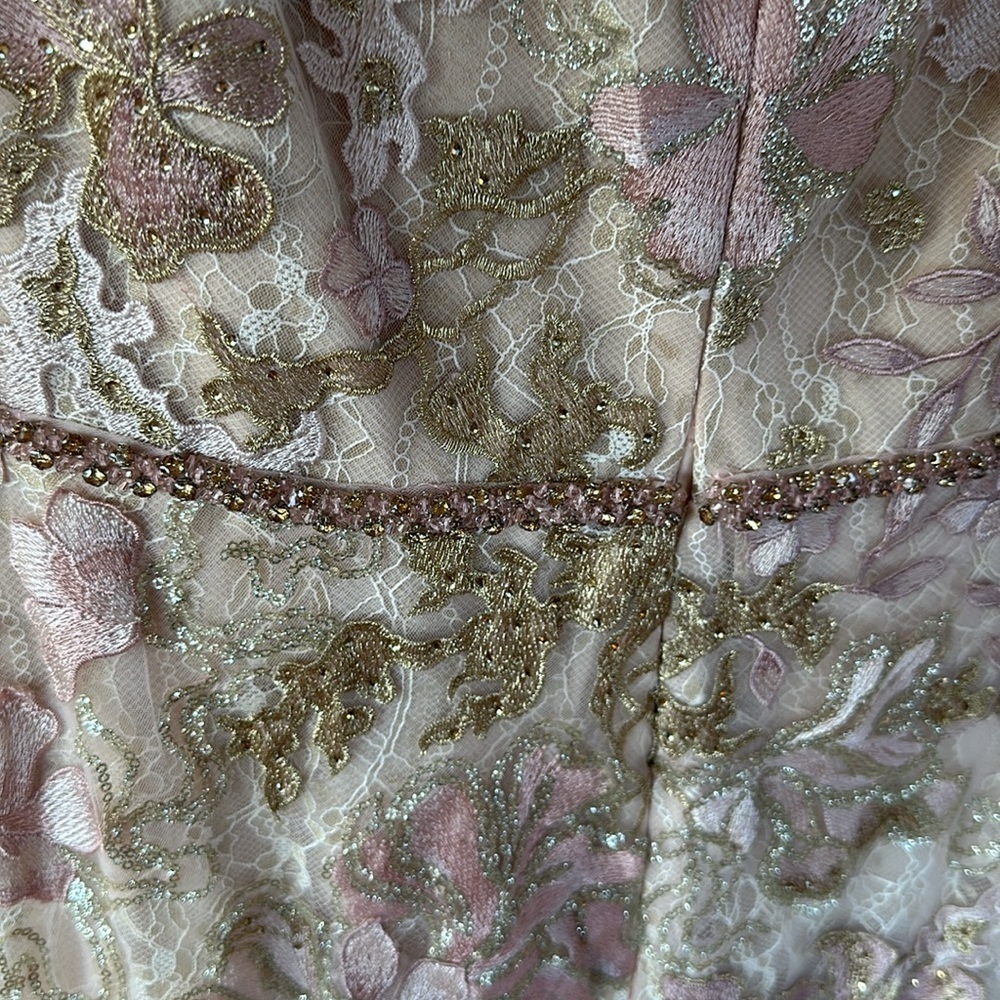 Mac Duggal Lace Embroidered Maxi Gown in Blush and Gold.  Mother of the Bride - Picture 12 of 13